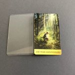 200 yr anniversary of the first vision LDS temple recommend holder